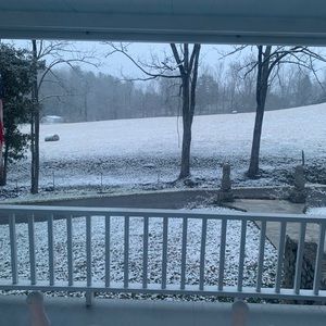 Meet your Posher, Gwin